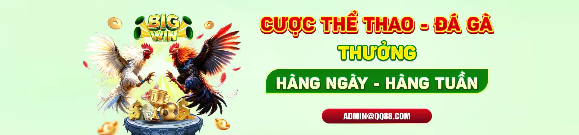 cược thể thao - đá gà hàng tuần tại QQ88